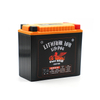 Intelligent Lithium Battery