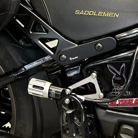 SOFTAIL REMOTE RESERVOIR MOUNTS